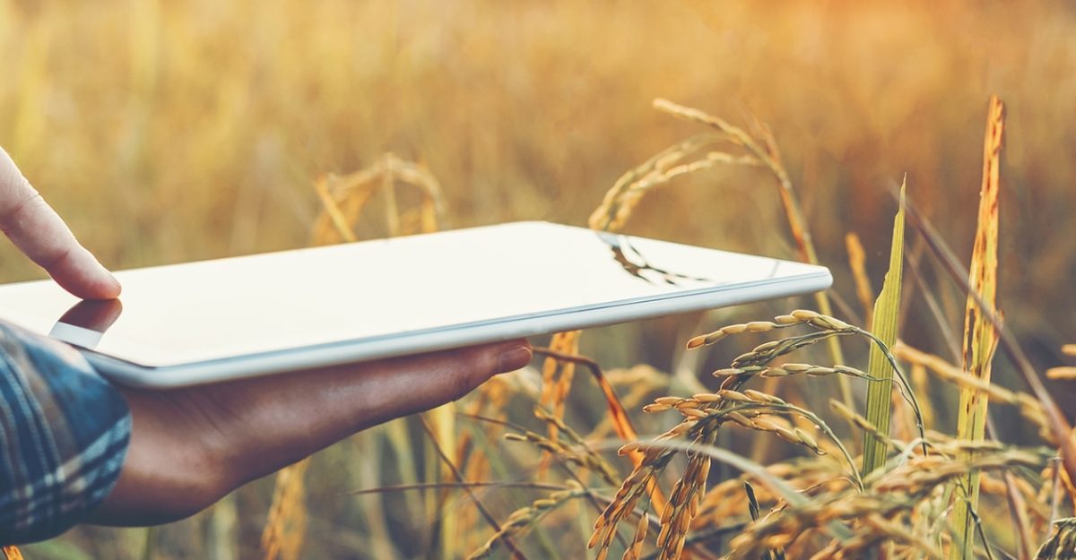 agriscience